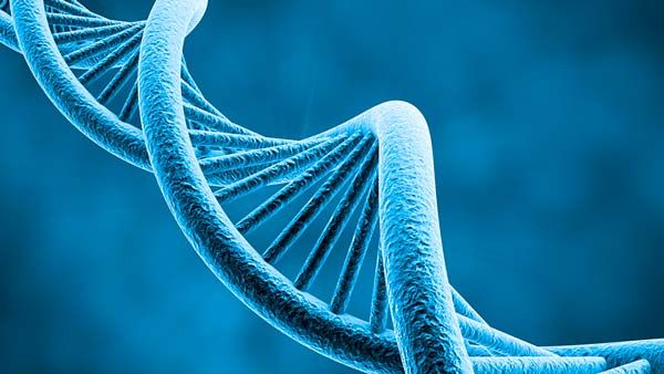 Test DNA fetale